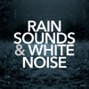 Rain Sounds & White Noise, 2019