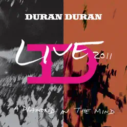 A Diamond in the Mind (Live) - Duran Duran