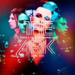 It Takes a Fool To Remain Sane 2000 - 2011 - The Ark