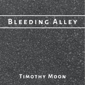 Bleeding Alley artwork