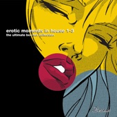Erotic Moments in House 1-3 (The Ultimate Collection) artwork