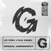 Special Assignment (Jayden Voss Remix) - Single album lyrics, reviews, download