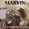 Kopfkaputt (feat. Dirko Antarktis & Illstylez) - Marvin lyrics