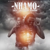 Nhamo (feat. Guspy Warrior) artwork