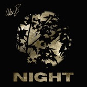 Night EP artwork