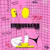 Embustera (feat. Chocolate, Mauro & Neldo) - Single album lyrics, reviews, download