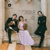 Bruch, Brahms & Schubert: Chamber Works artwork