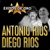 Éxitos de Oro artwork