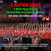 A Nation Sings: A Welsh Hymn Singing Festival with Five Thousand Voices artwork