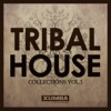 Tribal House Collections, Vol. 1