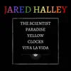 The Scientist / Paradise / Yellow / Clocks / Viva La Vida song lyrics