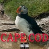 Cape Cod - Single
