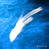 Beluga - Single