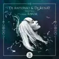 Verd min dj antonio dj renat remix