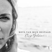 Rots Van Mijn Bestaan artwork