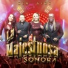 La Majestuosa Sonora - Sin Aire