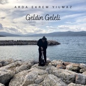 Geldin Geleli artwork