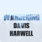 Rising and Falling, What the Tide Could Bring - Davis Harwell lyrics
