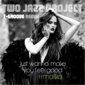 Just Wanna Make You Feel Good (feat. The Empress Malika) [T-Groove Remix] artwork