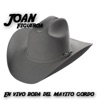 Joan Figueroa - Lobo Domesticado