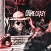 Caine Crazy