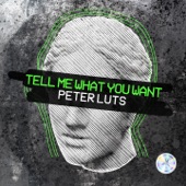 Tell Me What You Want (Extended Mix) artwork