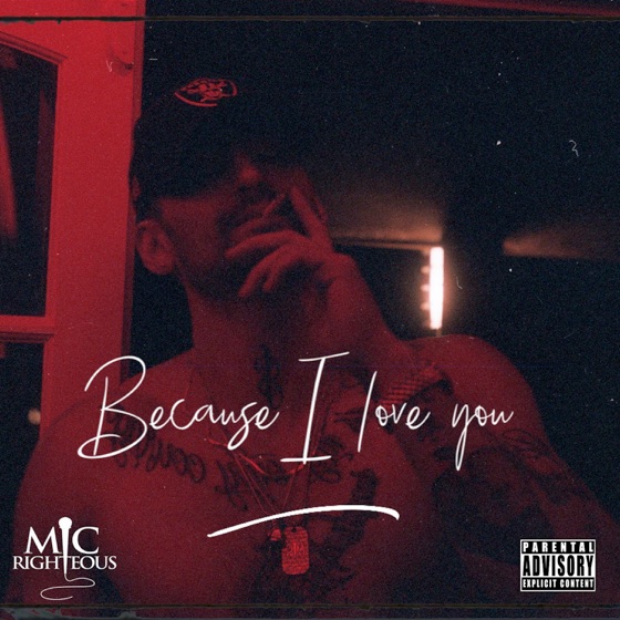 Cover artwork for Because I Love You