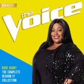 The Season 17 Collection (The Voice Performance) artwork