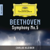 Beethoven: Symphony No. 5 (The Works) artwork