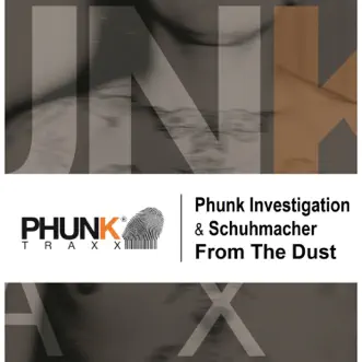 From the Dust - Single by Phunk Investigation & Schuhmacher album reviews, ratings, credits