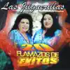 20 Flamazos De Exitos album lyrics, reviews, download