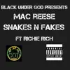 Snakes n Fakes (feat. Richie Rich) - Single album lyrics, reviews, download
