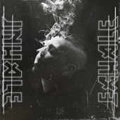 INHALE/EXHALE artwork