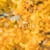 Caelum - Single album lyrics, reviews, download