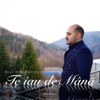 Te Iau De Mână - Single