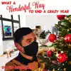 What a Wonderful Way to End a Crazy Year - Single album lyrics, reviews, download