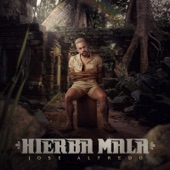 Hierba Mala artwork