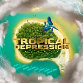 Tropical Depression Riddim artwork