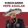 Por Mujeres Como Tú by Pepe Aguilar iTunes Track 2