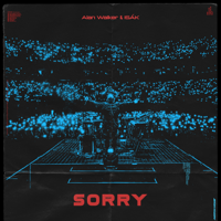 Alan Walker - Sorry (feat. ISÁK) - Single artwork