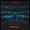 Sorry (feat. ISÁK) artwork