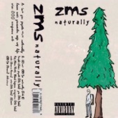 zms - Delusions