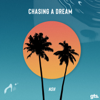 Chasing a Dream - NSH