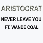 Never Leave You (feat. Wande Coal) artwork