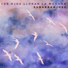 Tus Ojos Lloran la Mañana - Single