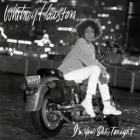 Cover artwork for I Belong to You