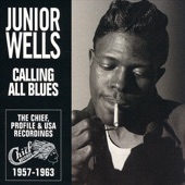 Junior Wells - She's A Sweet One