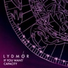 Lydmor - If You Want Capacity