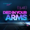 (I Just) Died in Your Arms - Single