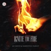 Ignite the Fire (feat. Elyn) - Single